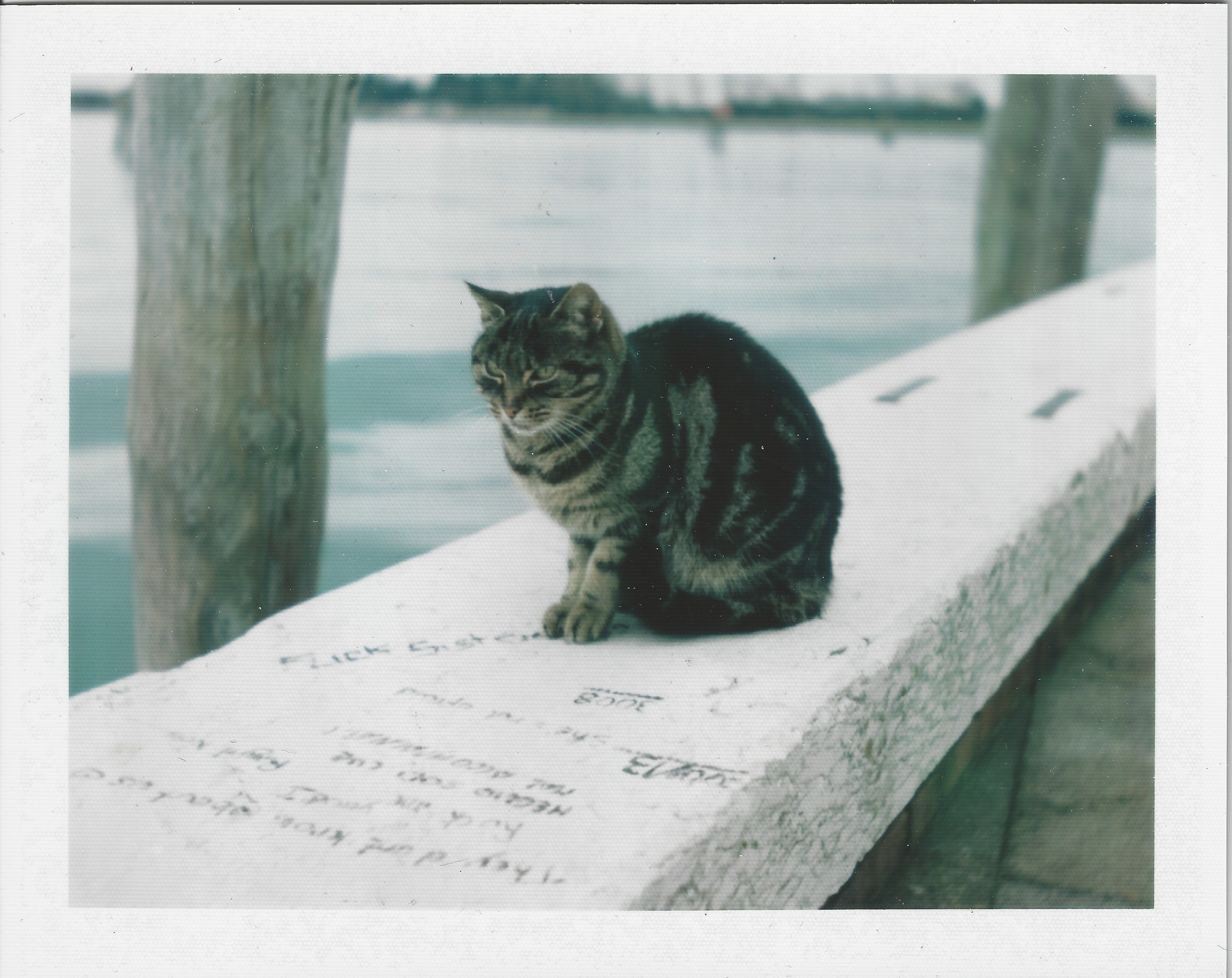 Scan 29.jpeg