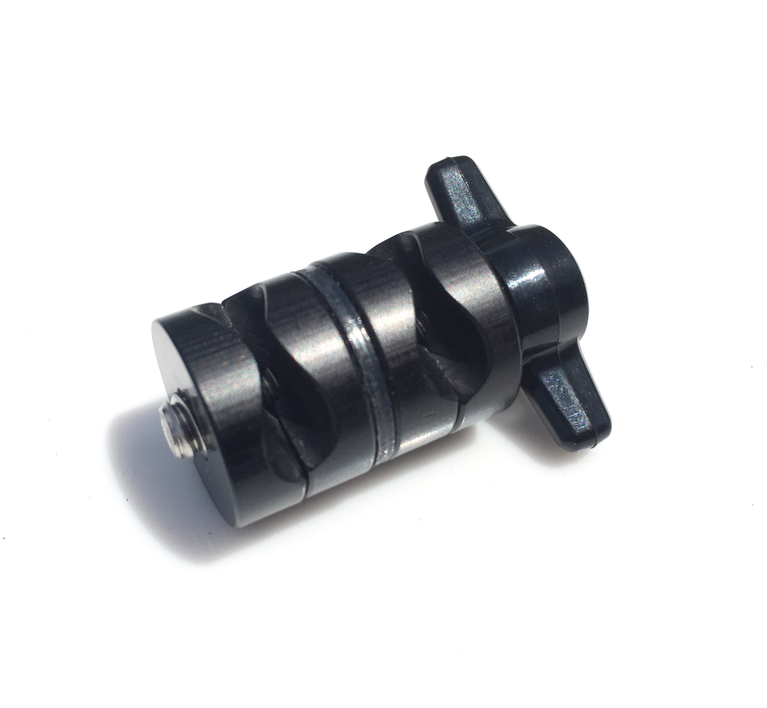 1/4 - Hollywood Head