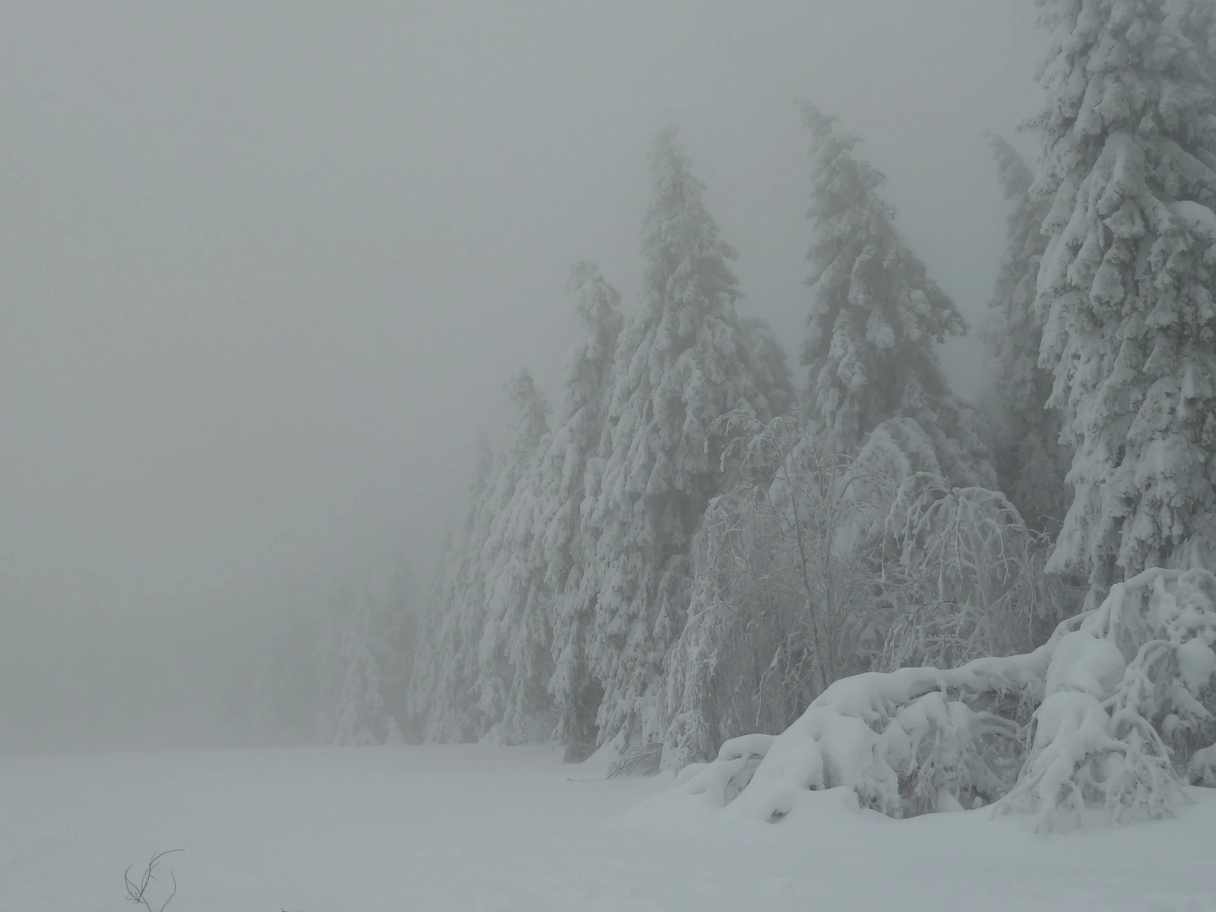 Harz Mountain Winter, 2012