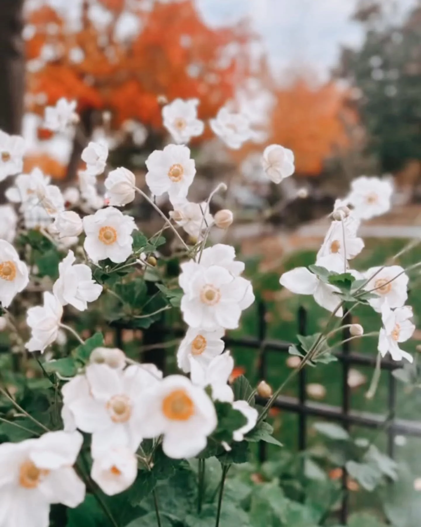 Everyday Blessings&hellip; He is &ldquo;the most creative being imaginable.&rdquo;