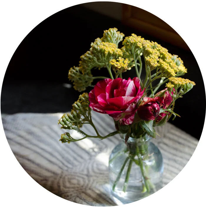 onthesamepageblog_freshpickins.jpg