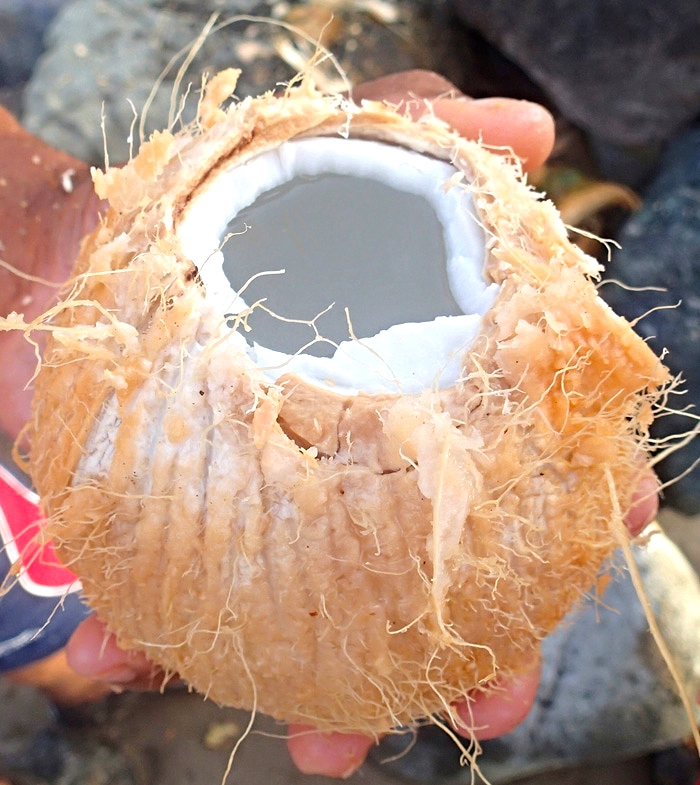 anguilla locals make coconut oil