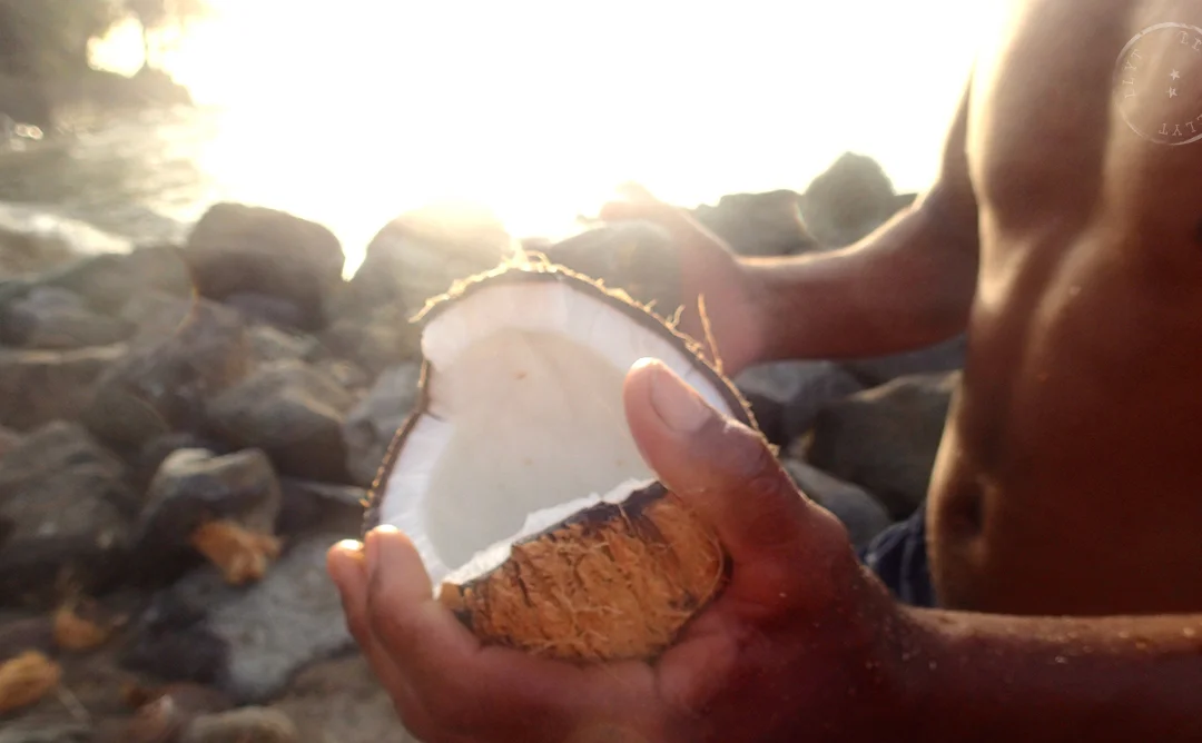 Anguilla Island Life On Tap - Learn to Make Coconut Oil Like a Local