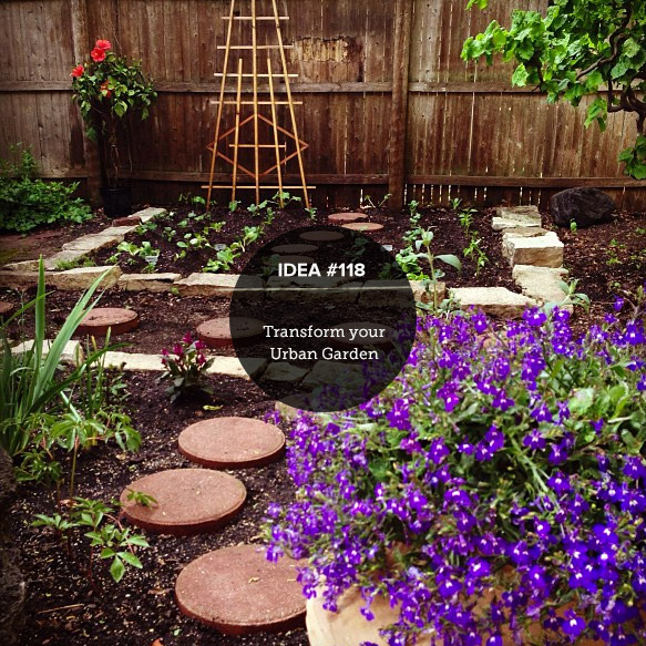  IDEA118: Transform Your Urban Garden 