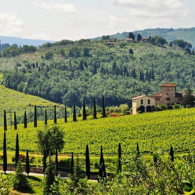 KM Zero Tours : Slow Travel & Farm to Table Eating Tuscany