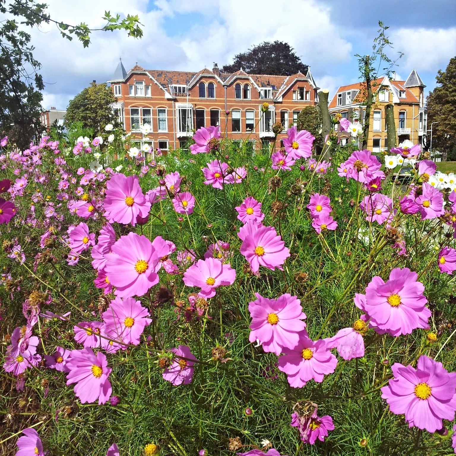 LLYT Nature Element :  4 Reasons to Infuse Your Life with It