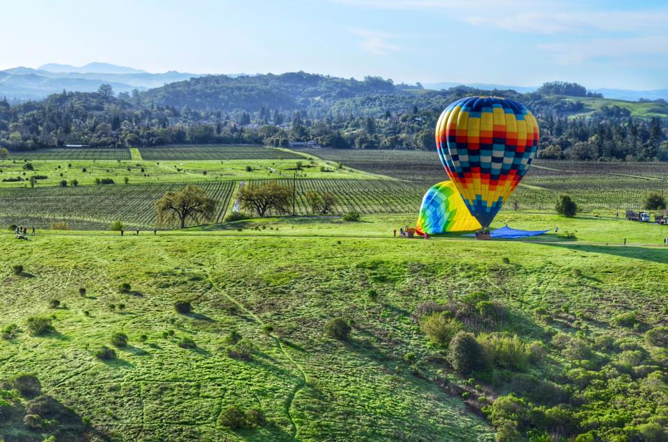 Early morning, Napa
