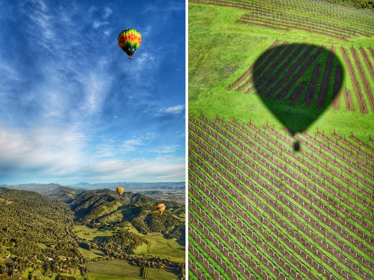 napa_hot_air_balloon2.jpg