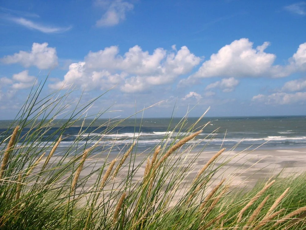 EXPLORE: Wadden Islands - My Inspiration