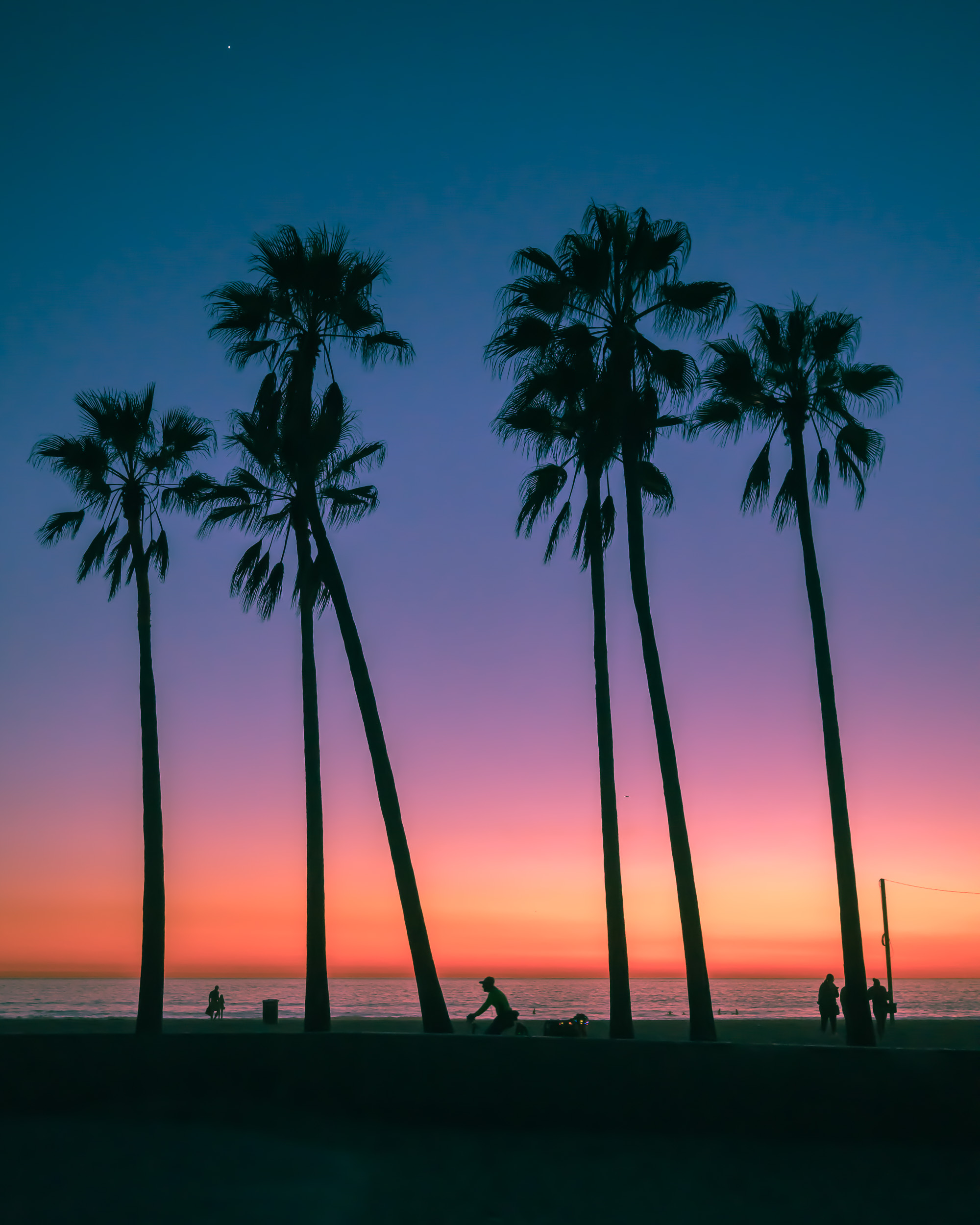 *Weekend Pass* to Rediscovering Venice Beach with Helena Sung — Live ...