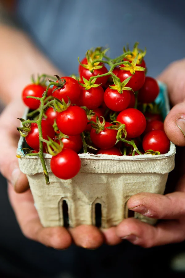 Les tomates du marché