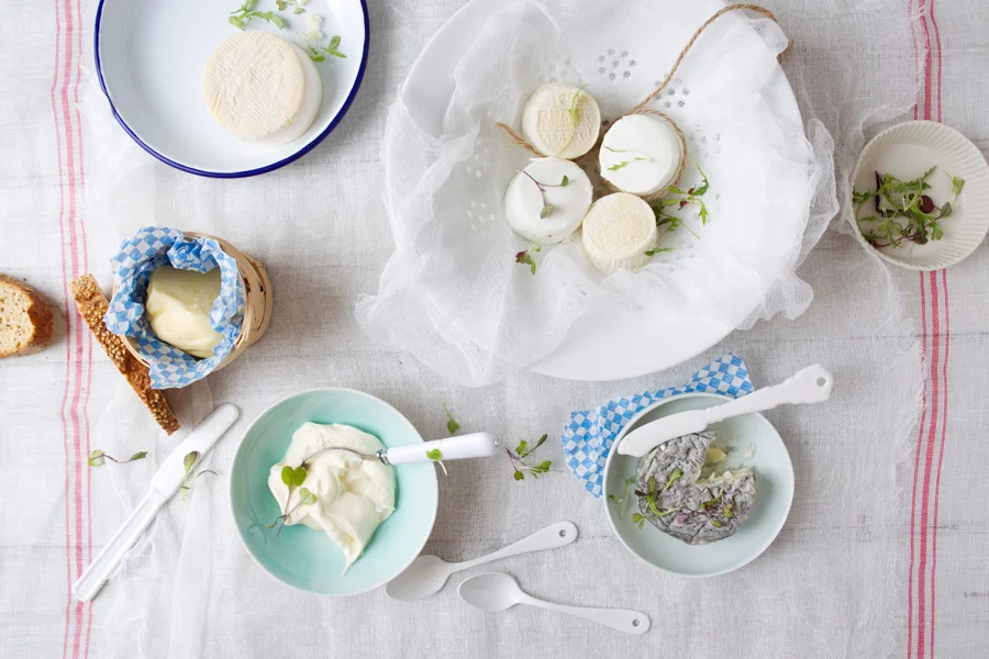 Les produits laitiers