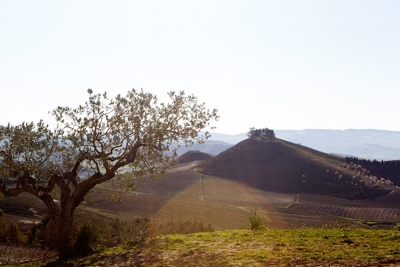 Sicilian Landscape