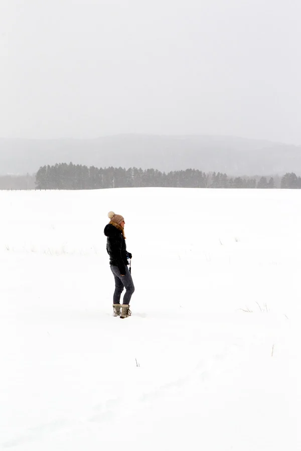 Au milieu de la neige