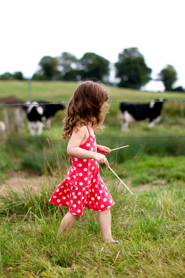 Lulu et les vaches, France