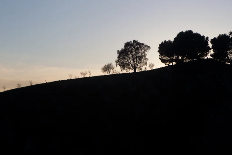 _D0C7527.jpg