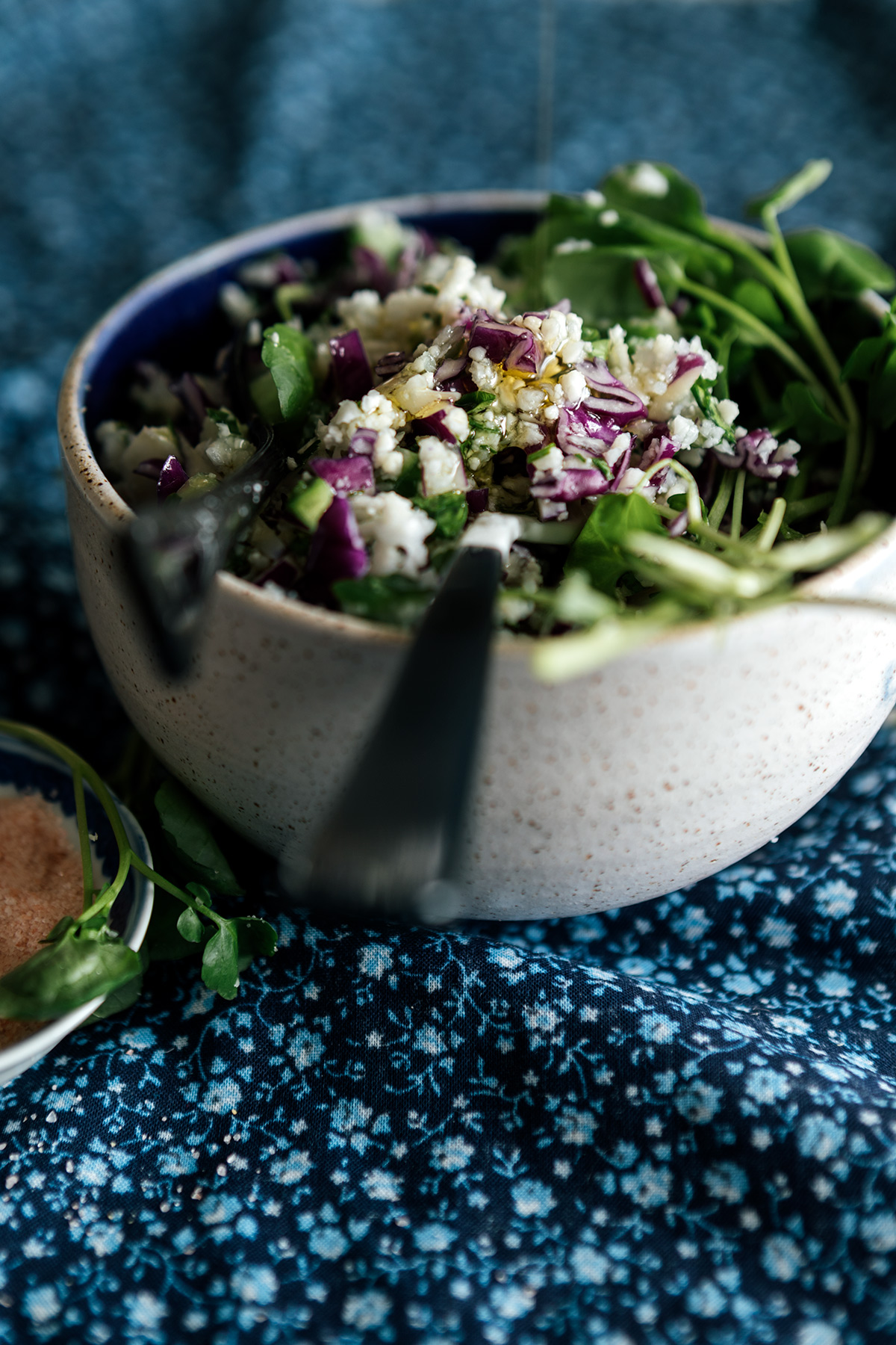 _S7I5284RedCabbageCauliflowerTabouli.jpg