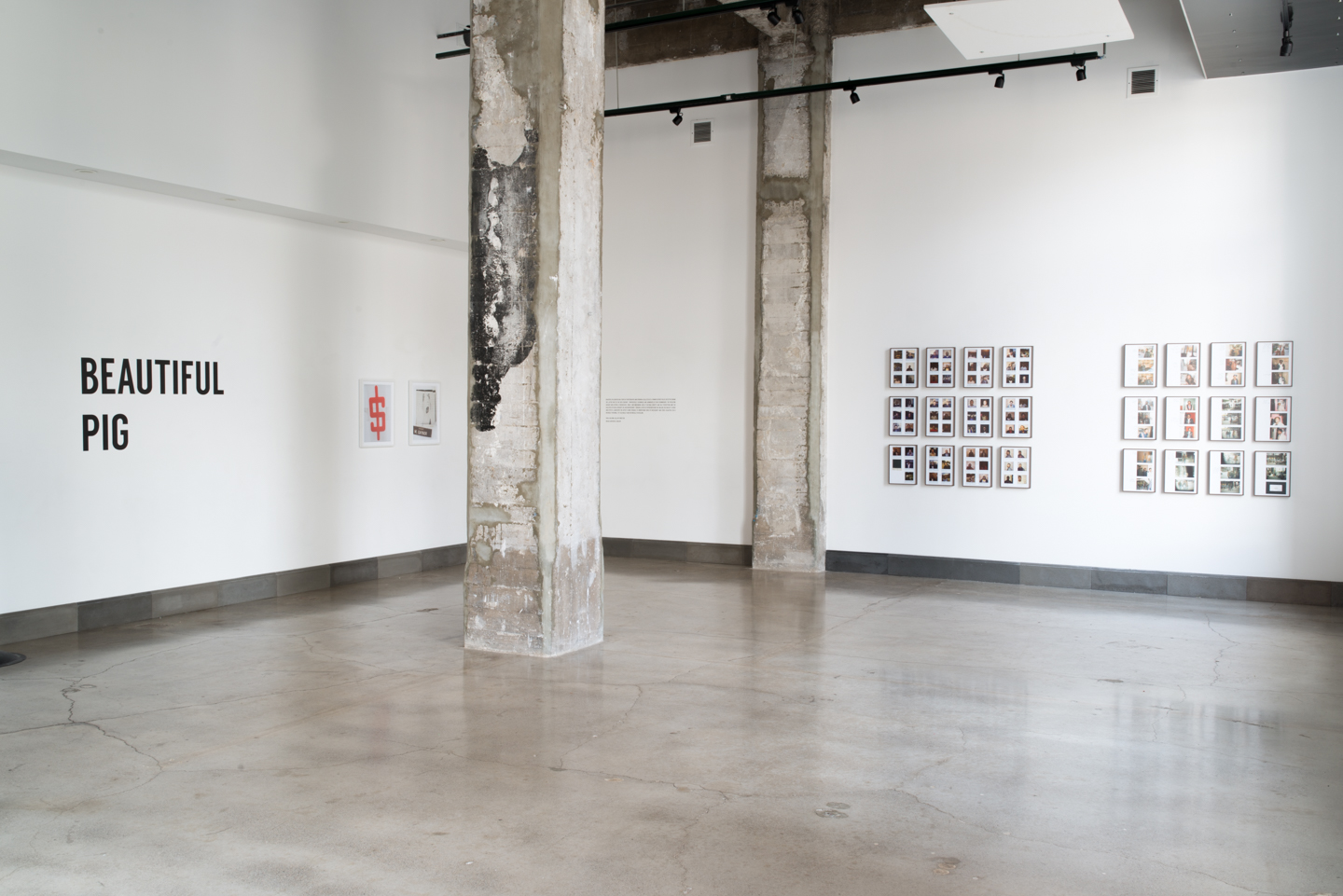Installation View 2016