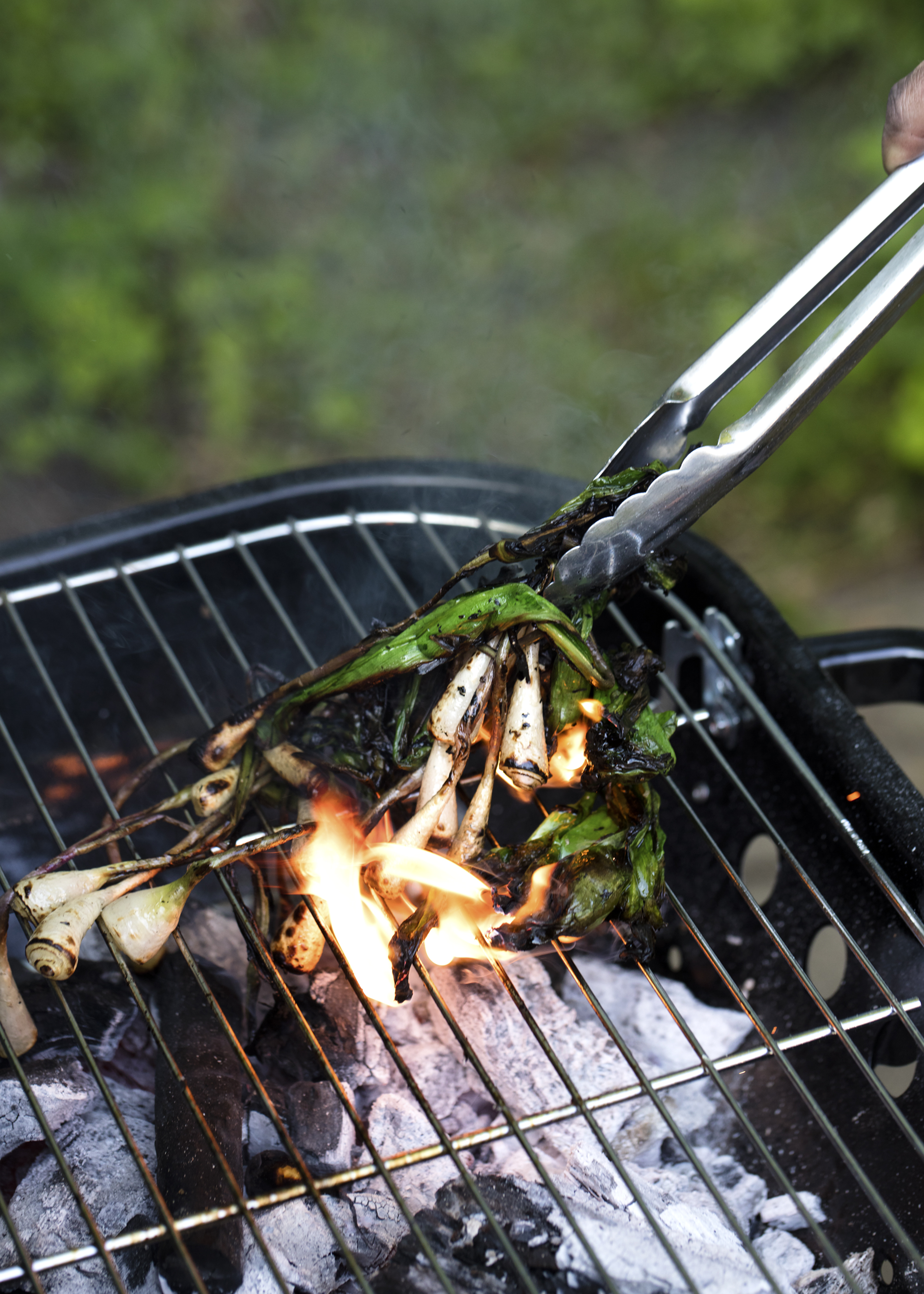 Host_Backyard_149_edit.jpg