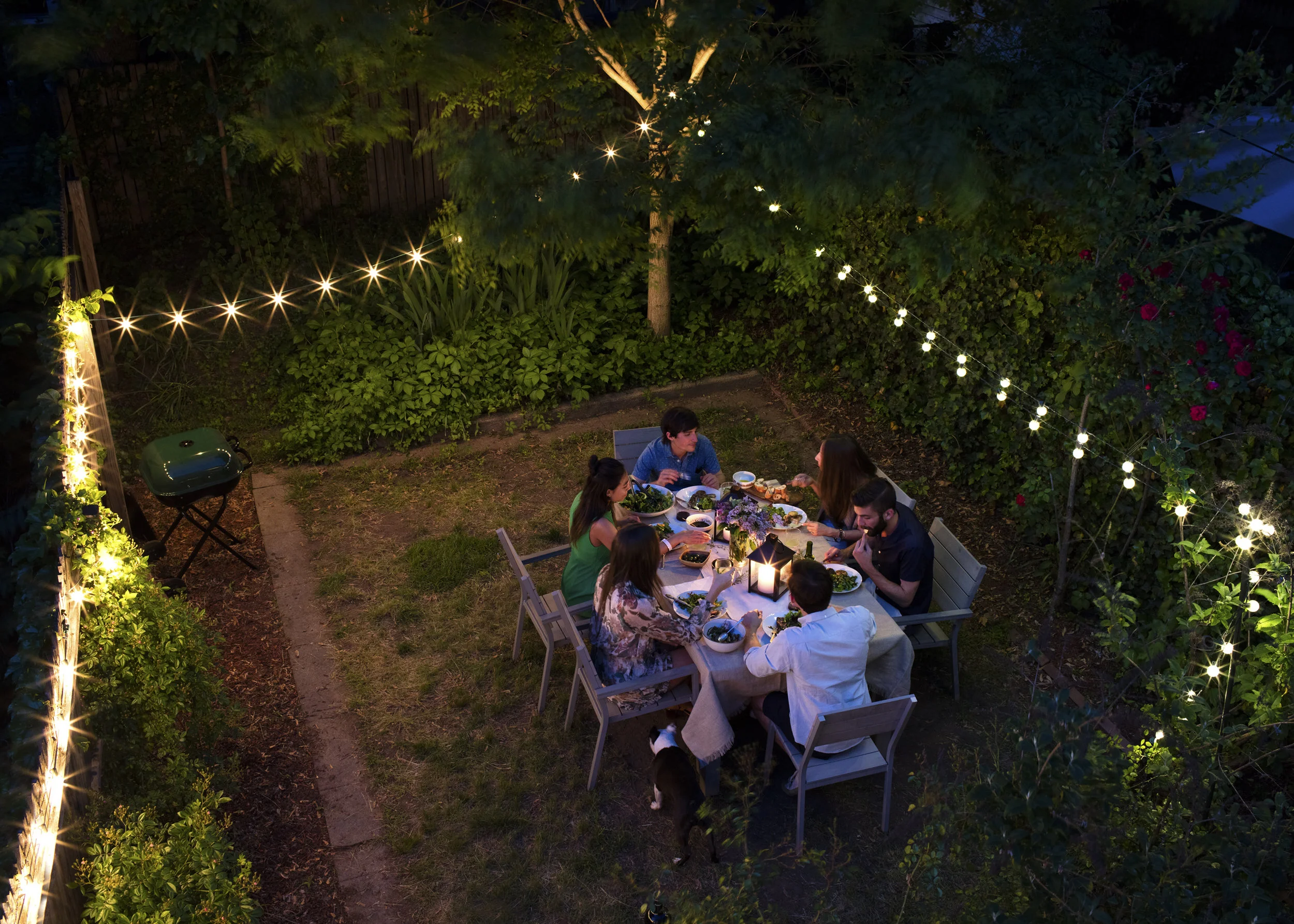 Host_Backyard_798_edit_V2_FINAL_FINAL.jpg