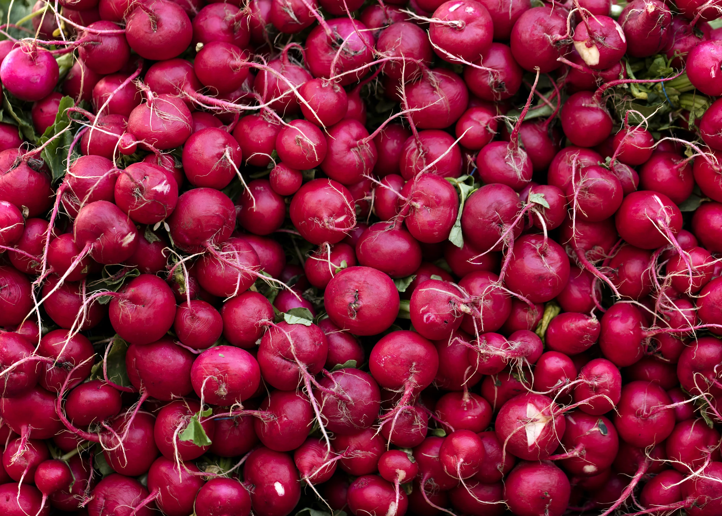 Host_Greenmarket_004_edit.jpg