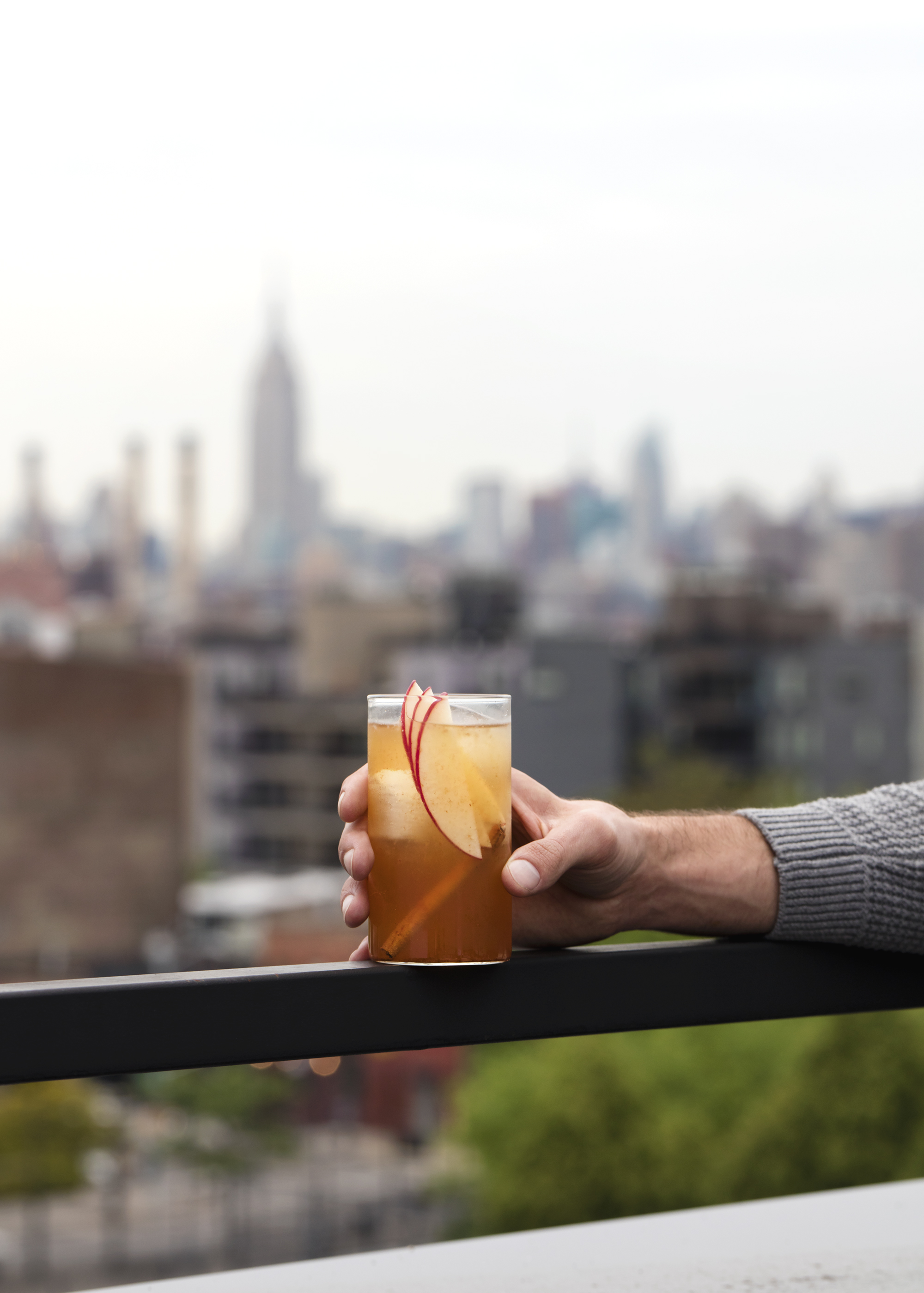 Host_Rooftop_384_edit_FINAL.jpg