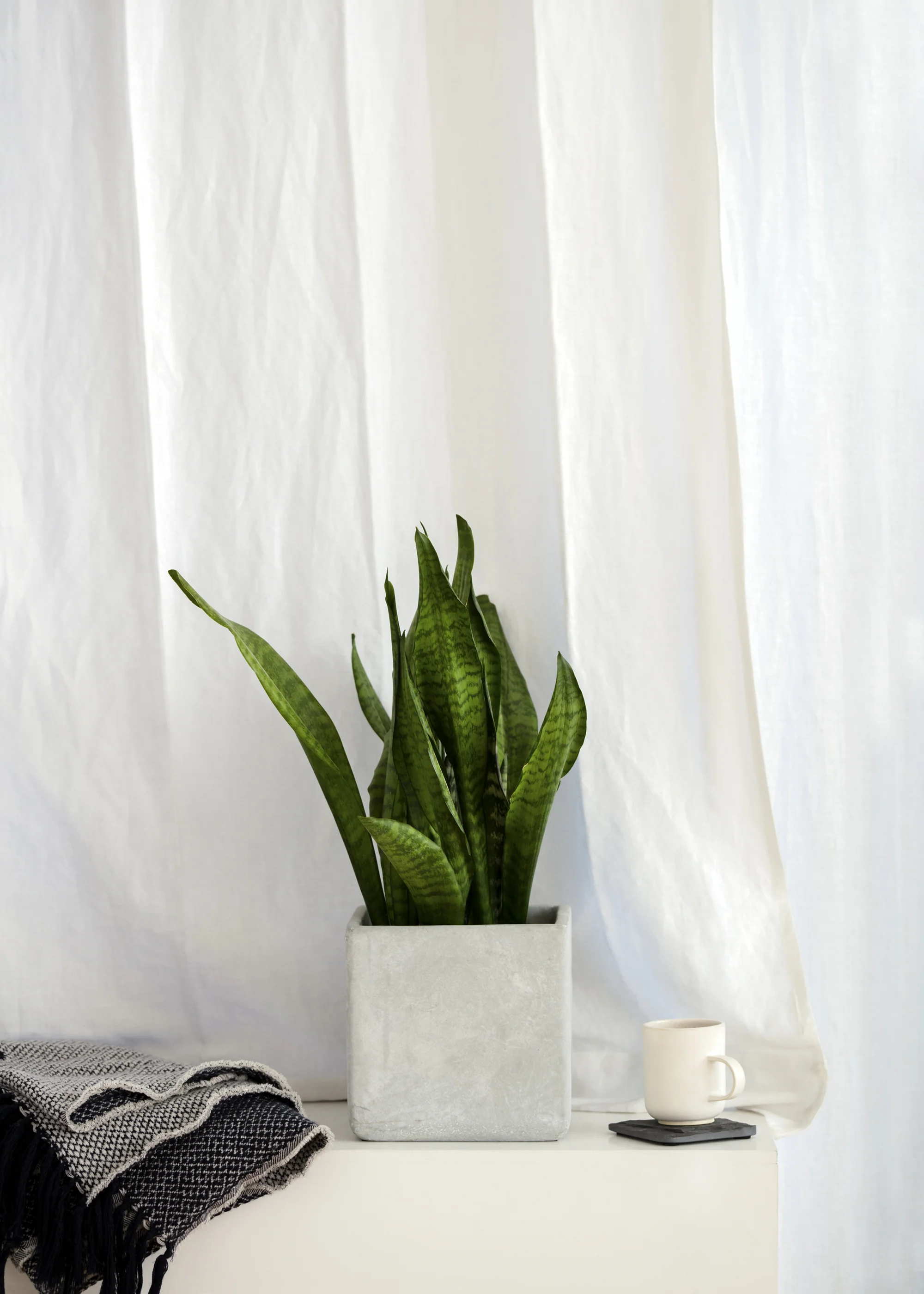 Host_WinterGathering_496_edit_FINAL (1).jpg
