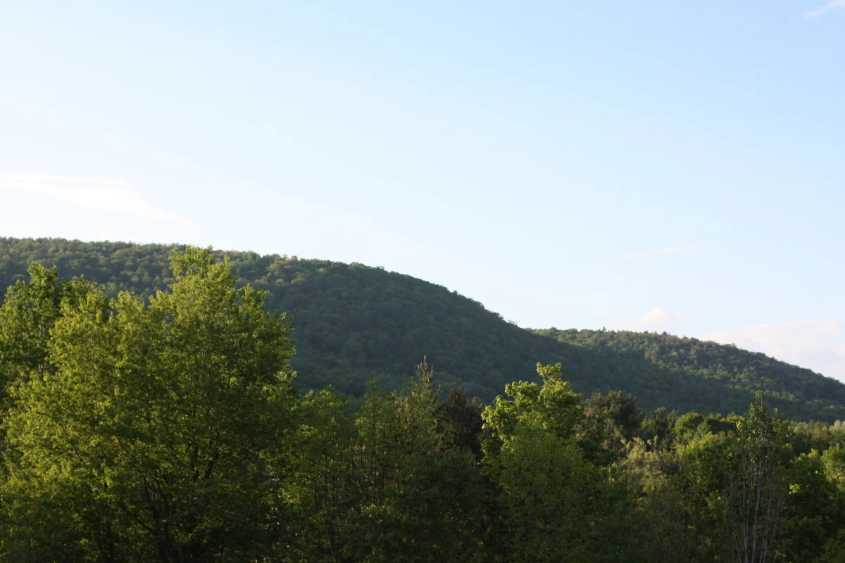 img_5507.jpg