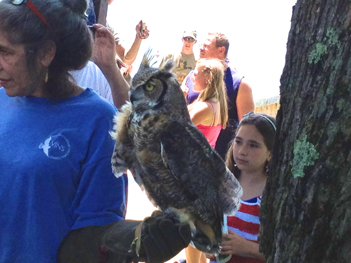Display by the Adirondack Wildlife and Rehab Center