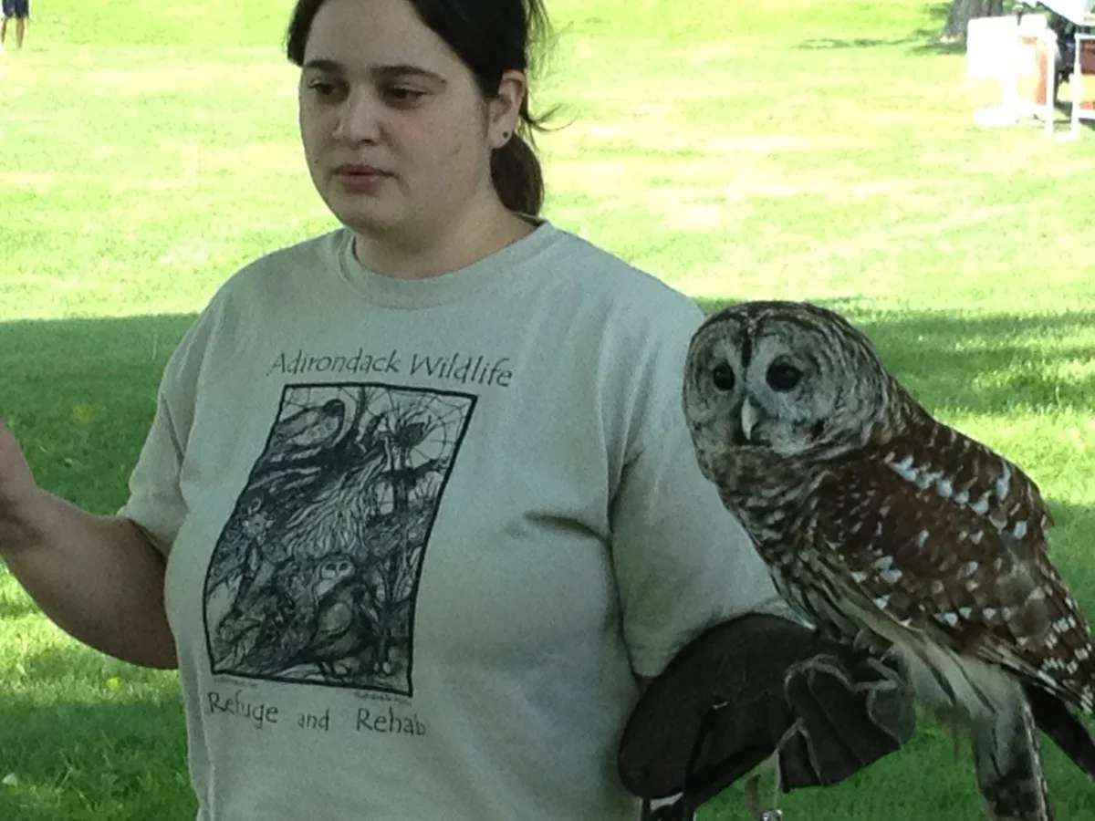 Display by the Adirondack Wildlife and Rehab Center