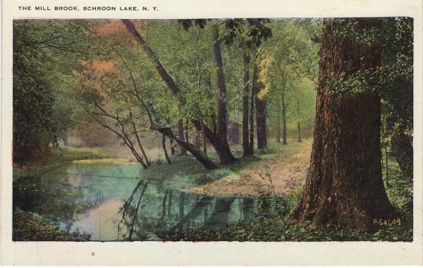 mill brook.JPG
