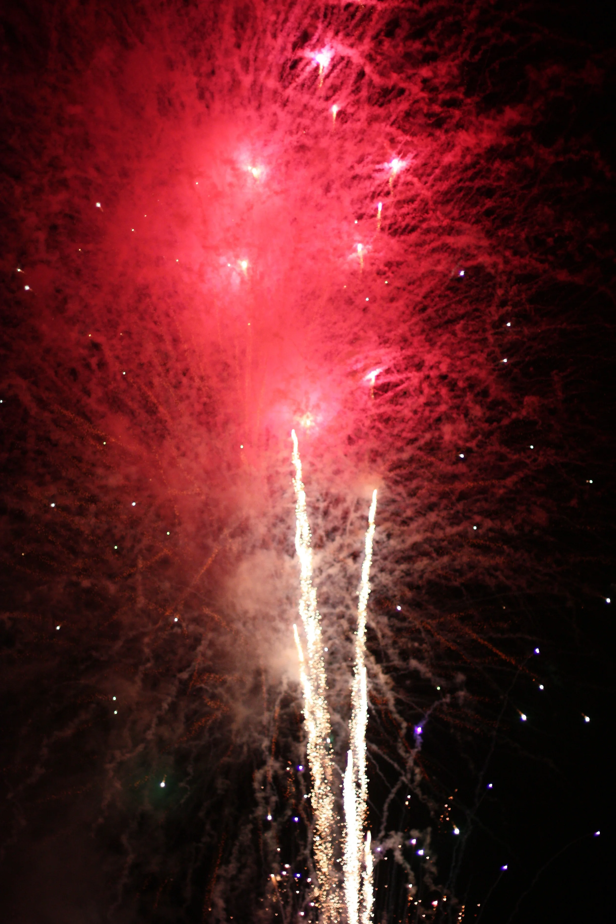 IMG_8321.jpg