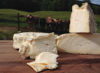 Essex County Gets Cheesy on Sunday