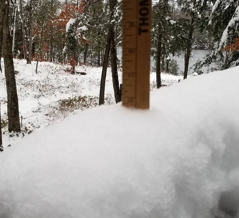 Photo courtesy Dennis Cooper