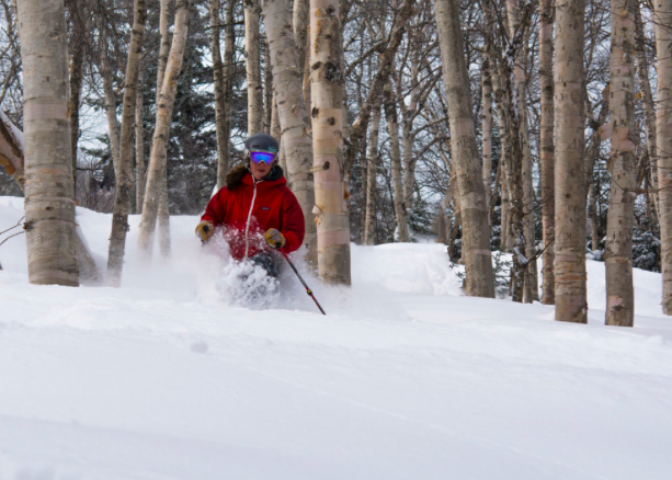 Avalanche Warning for the Adirondacks