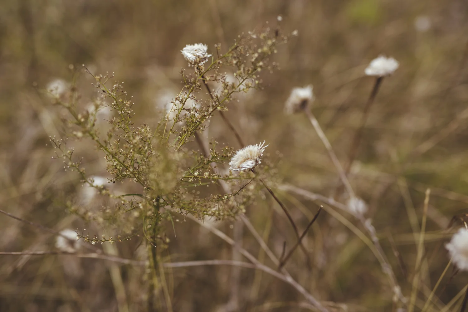 Elizabeth &amp; Paul