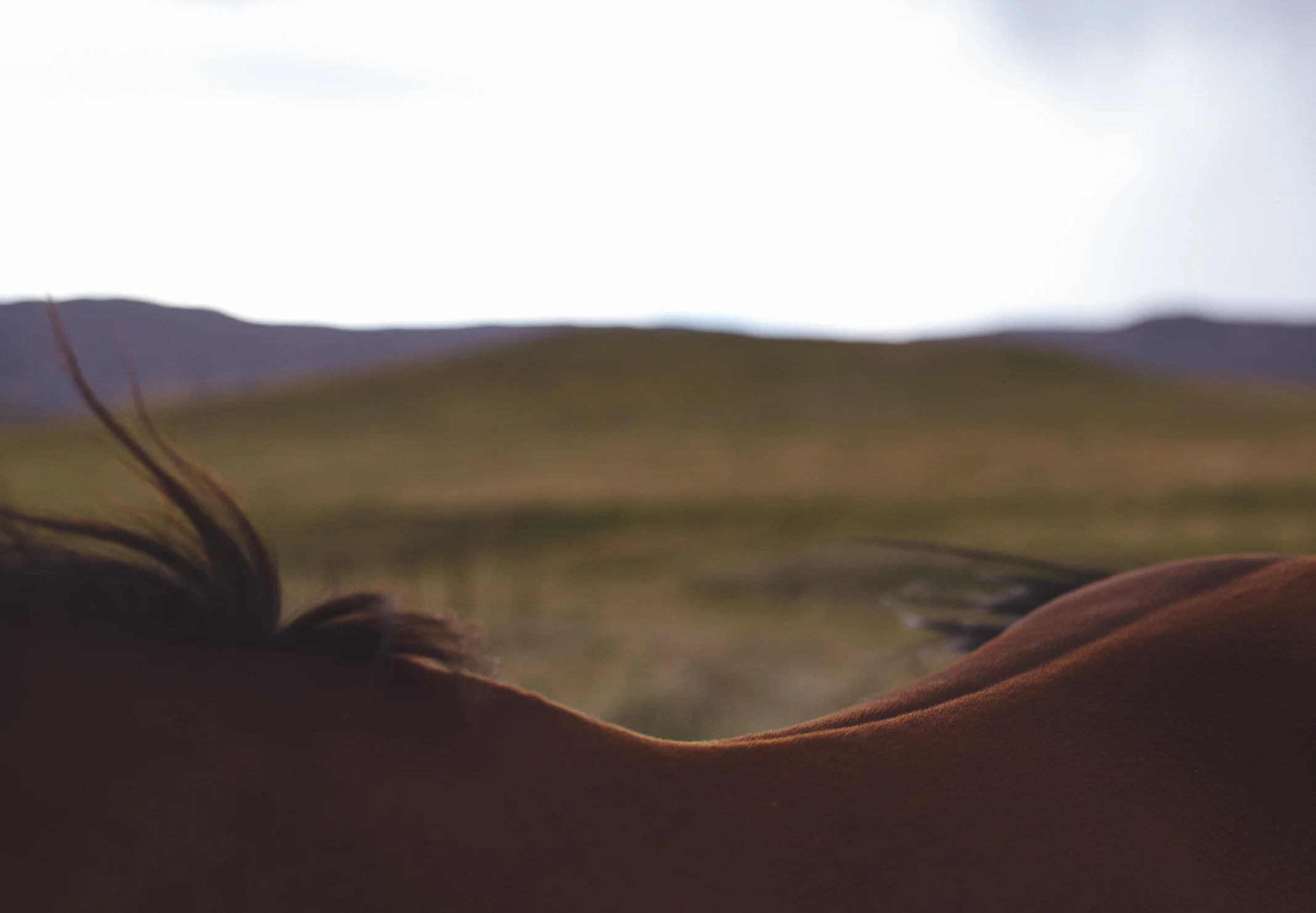 Denver(ish) Colorado Wedding 