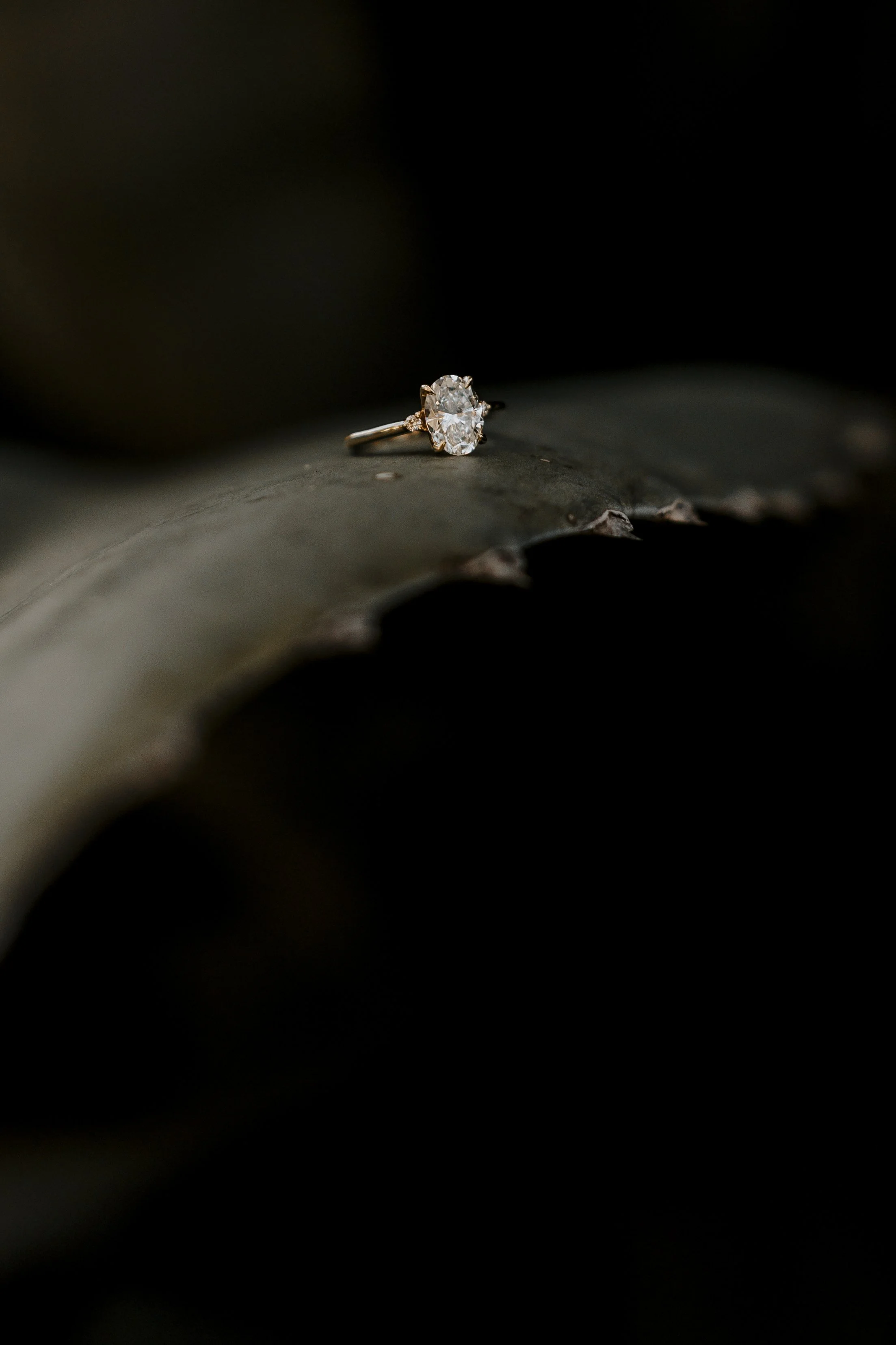 PROSPECT HOUSE AUSTIN TEXAS WEDDING (ZACH &amp; GRACE)