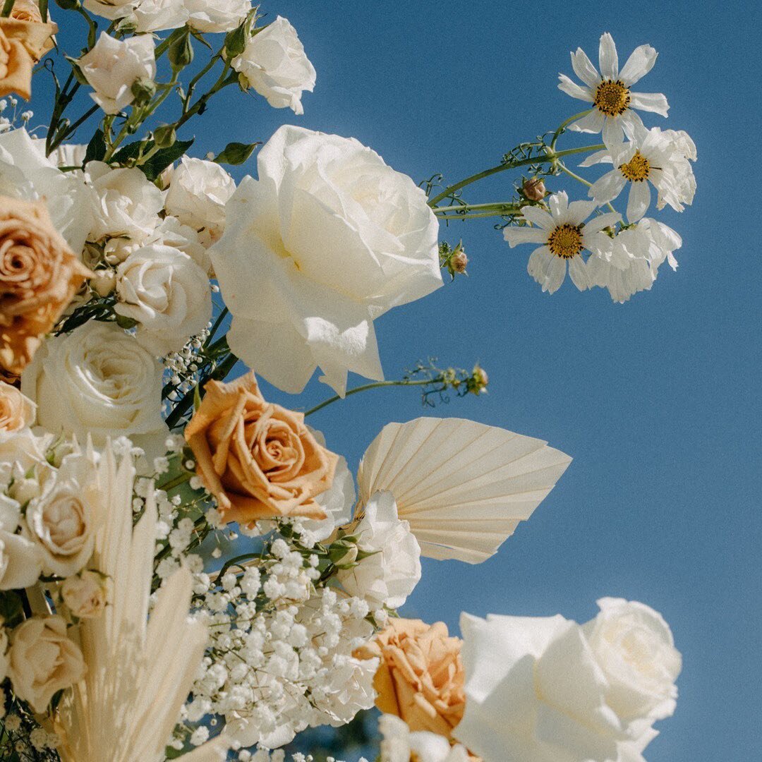 Loved this gorgeous wedding at @theallanhouse. Thank you Anna and Will for letting me capture such a beautiful day. ❤️
@twentytwoweddings
@johndavidweddings
@austincatering
@cody.b.cooper
@destinybeautyatx
@botanicaljane