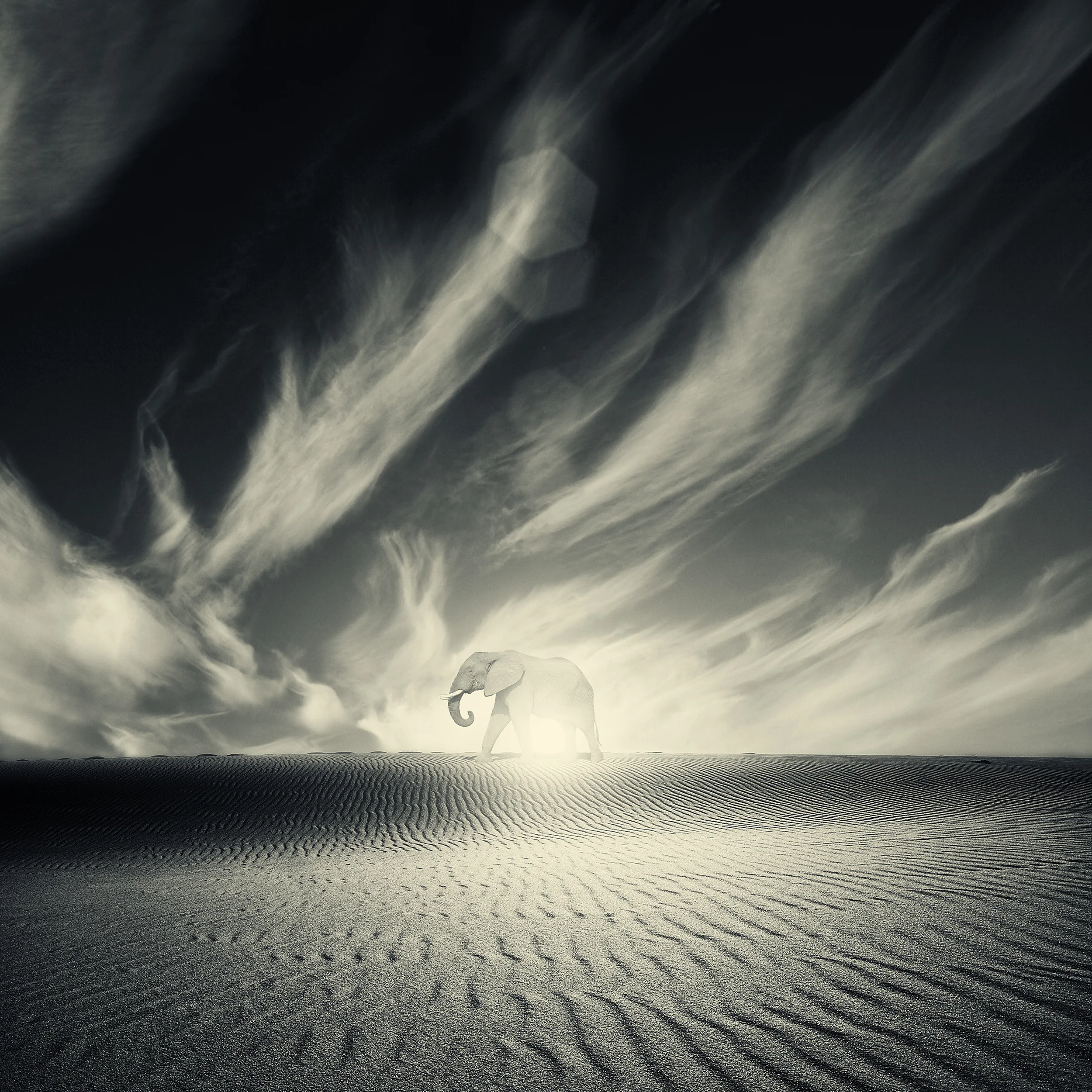 Untitled-1cdcxv.jpg