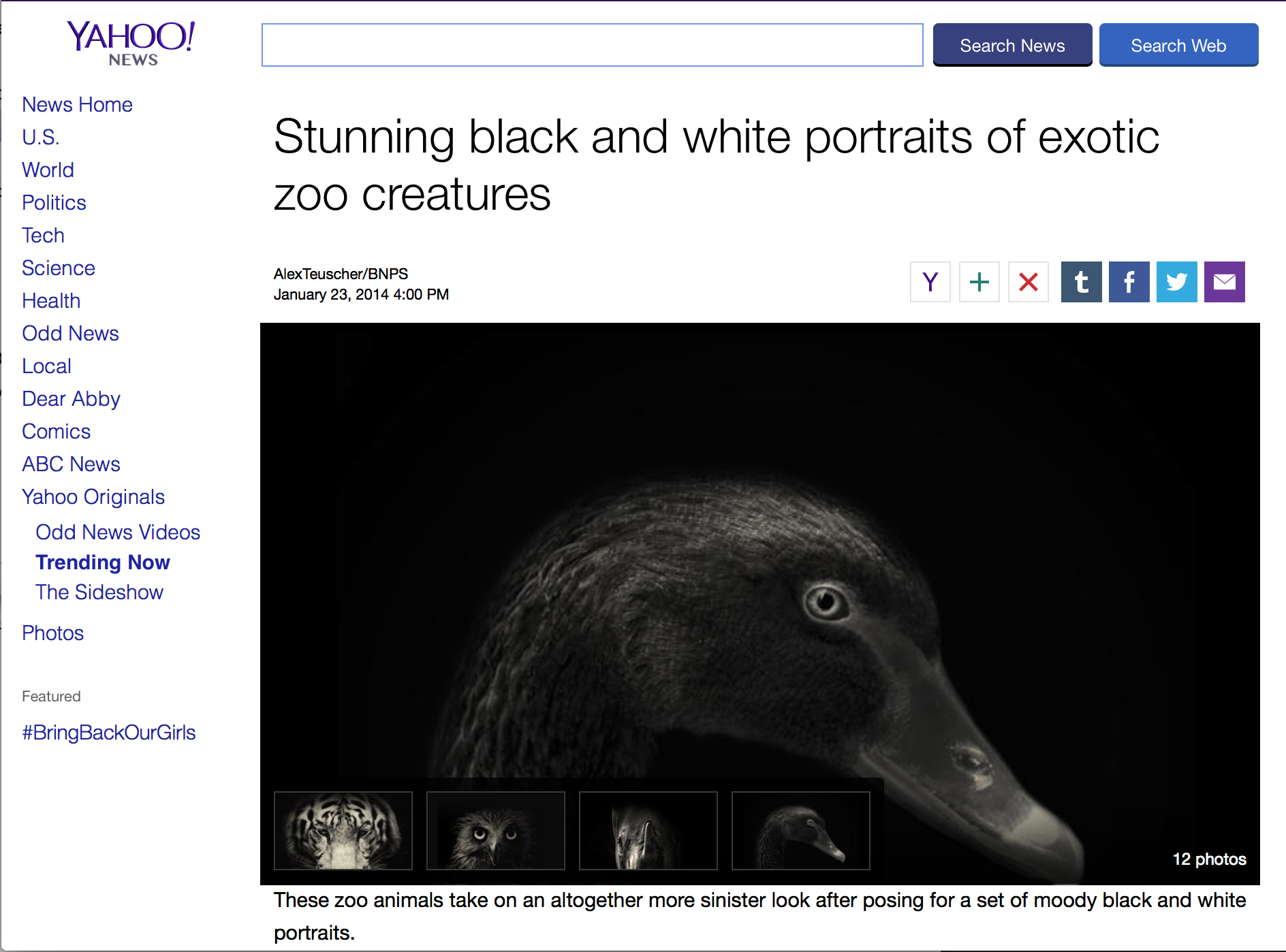 Screen Shot 2014-05-12 at 1.55.53 PM.png