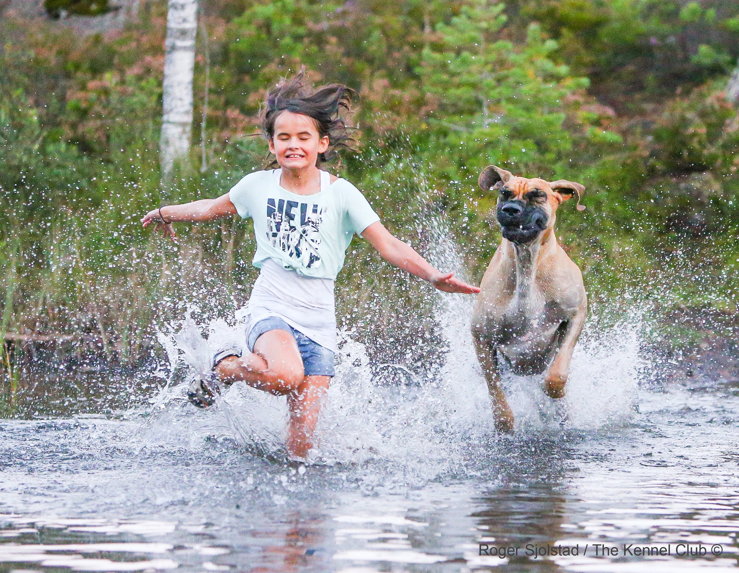 Last years winning photo, by Roger Sjolstad