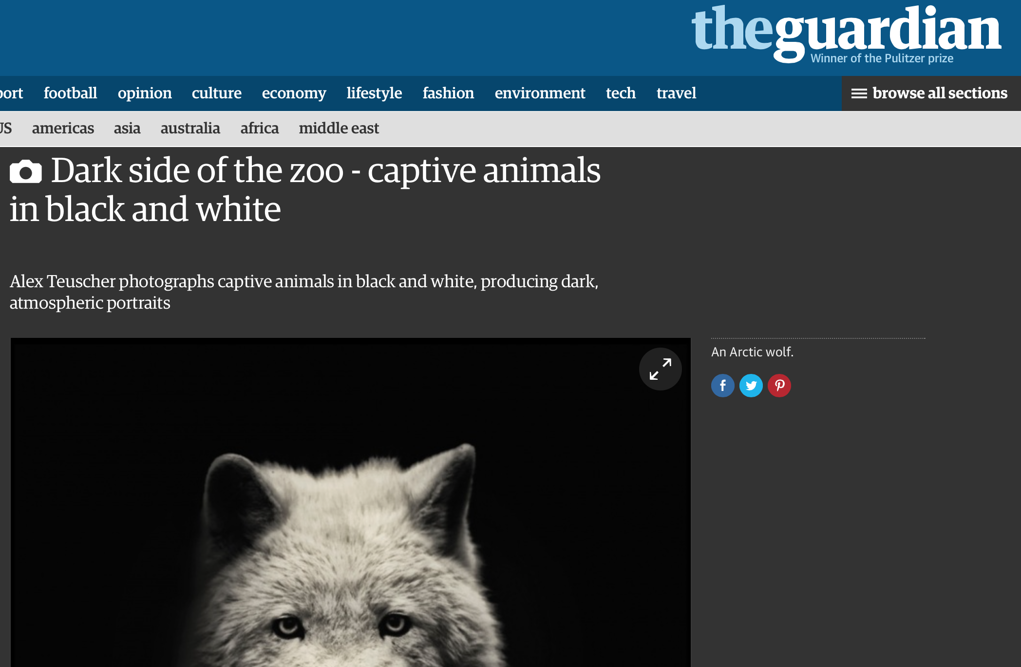 Screen Shot 2015-04-07 at 5.09.22 PM.png