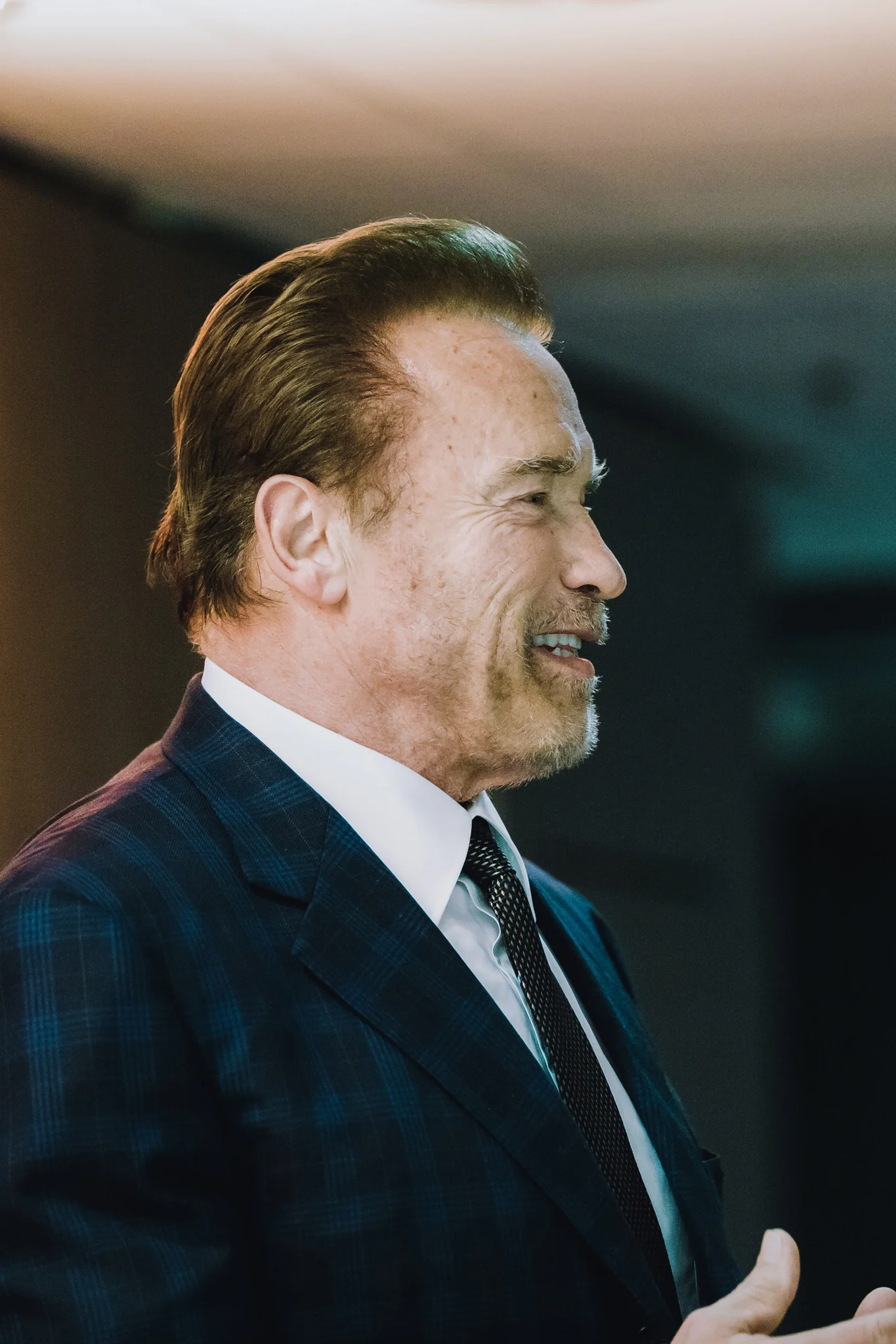 Arnold Schwarzenegger