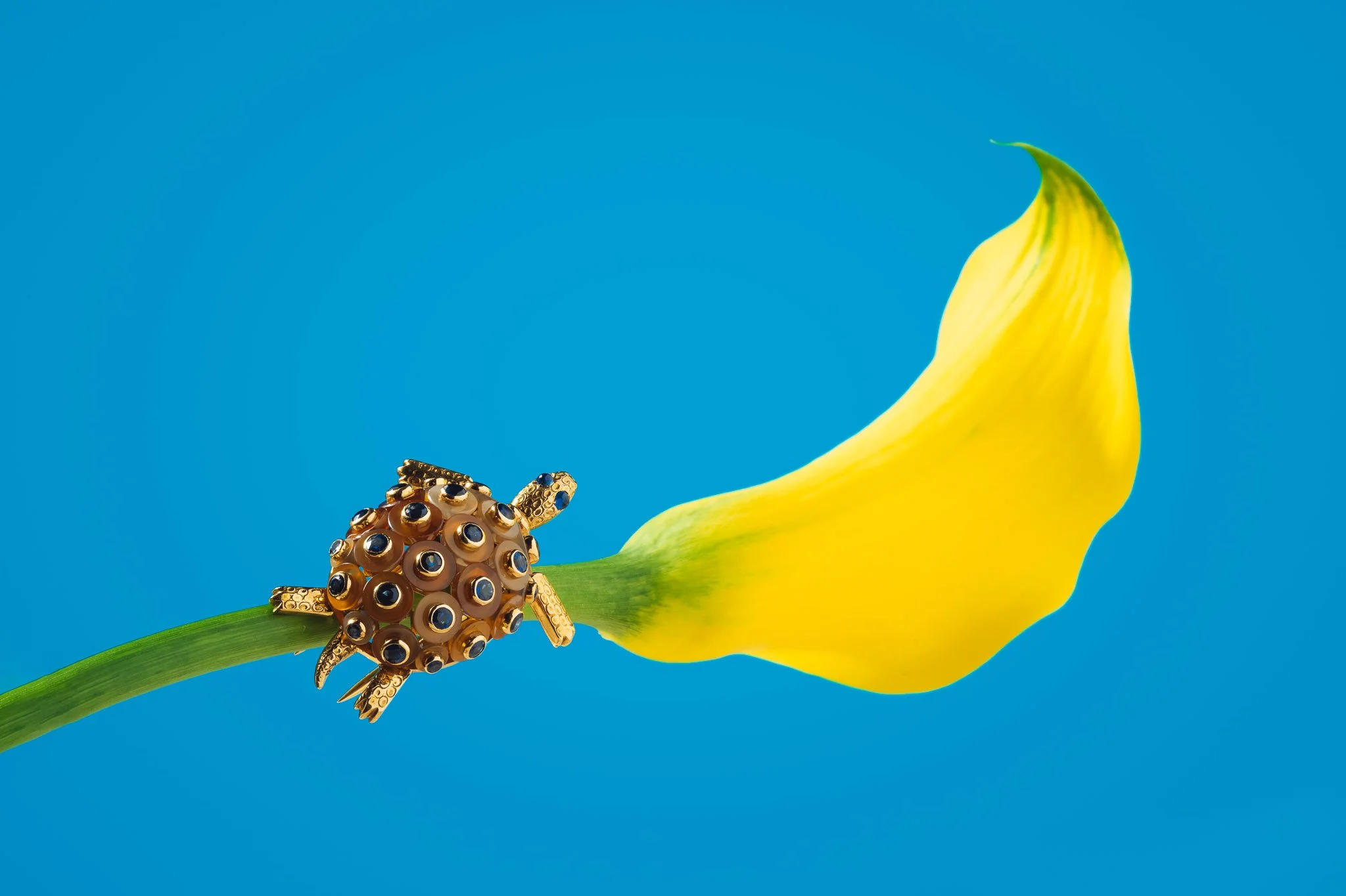 2022-03-25-18.18.27 ZS retouched.JPG