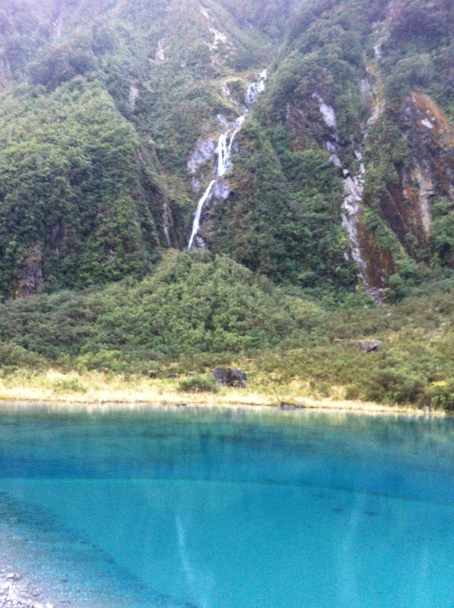 A pool from Fox Glacier