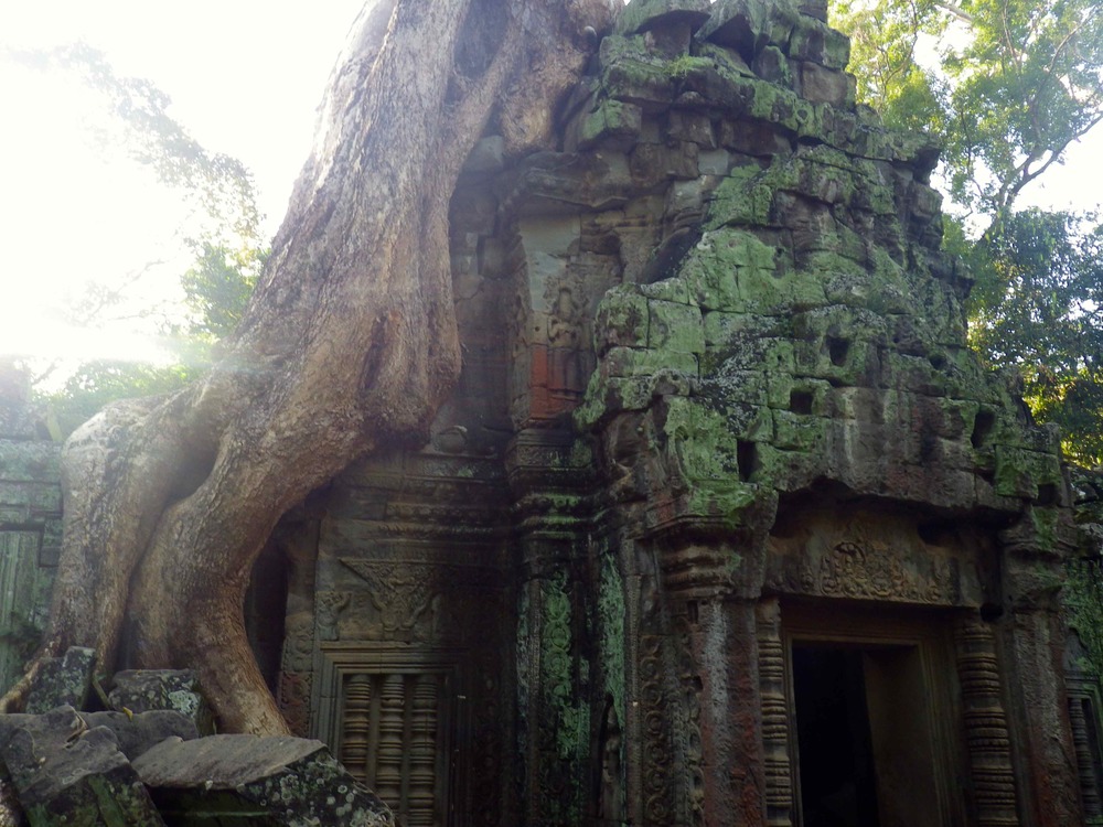 The giants of Ta Prohm Temple