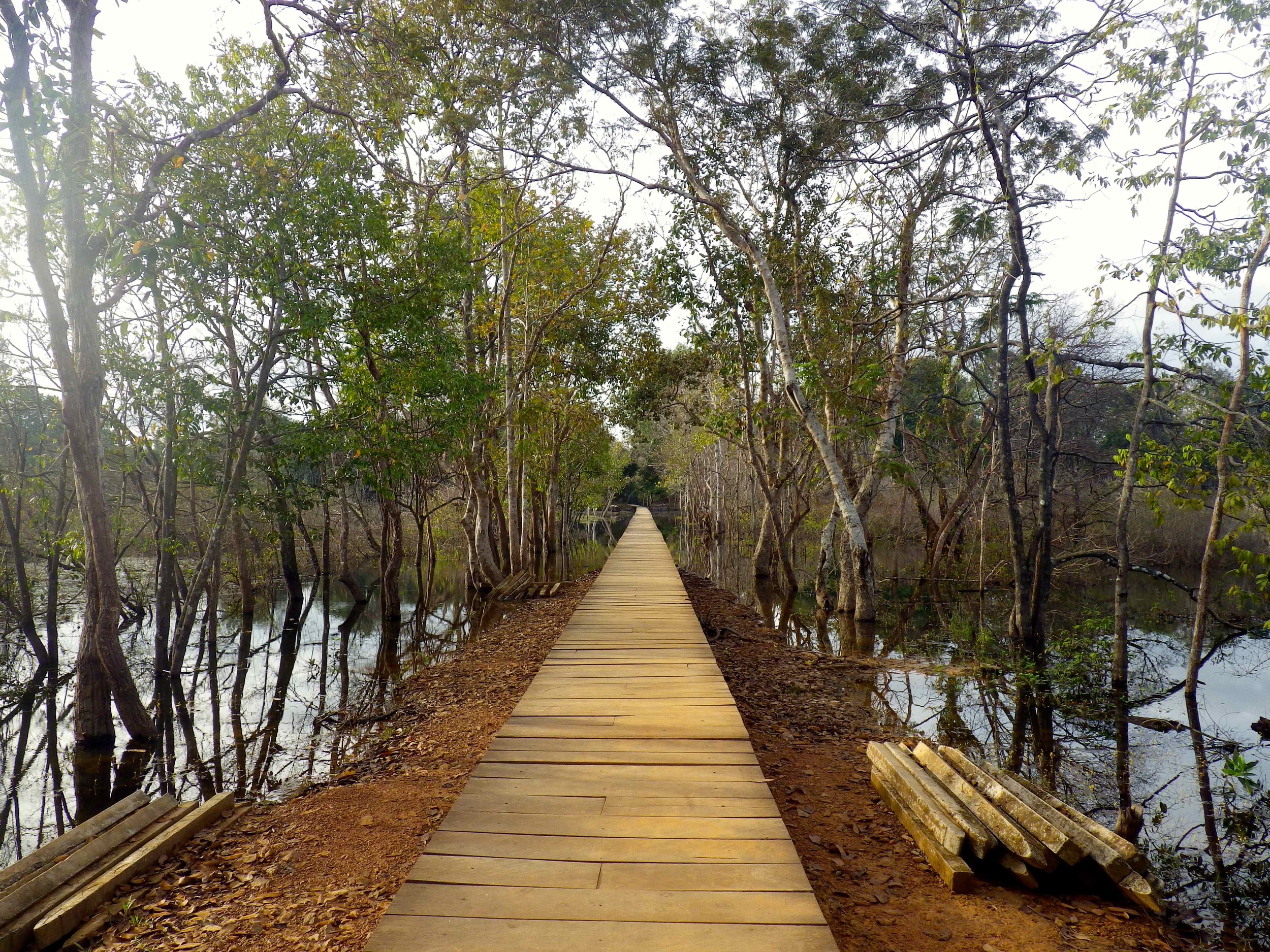 Wooden foot bridge to Neak Pean