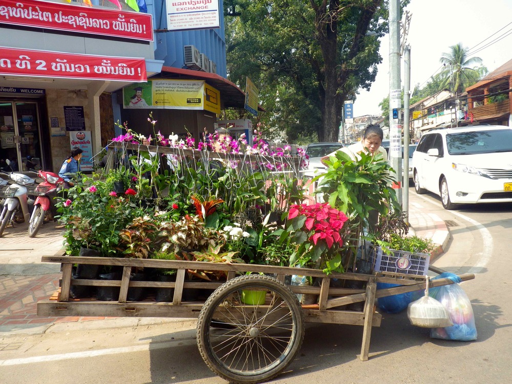 My favorite shop in Vientiane