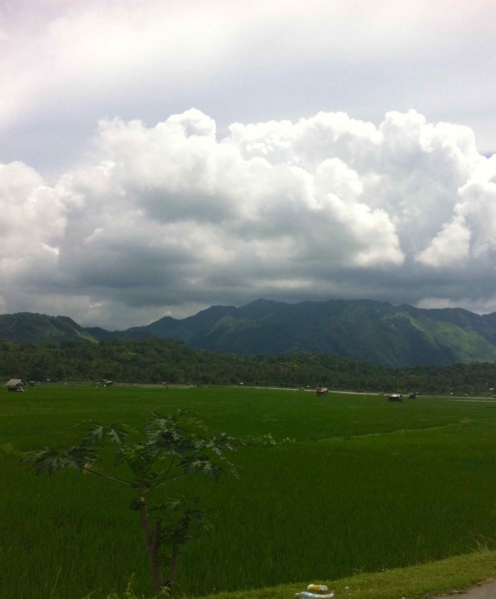 Mountains Over the Rice Fields